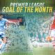 Premier League Goal of the month: April Premier League Goal of the month: April