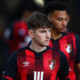Bournemouth midfielder David Brooks cancer free after months of treatment