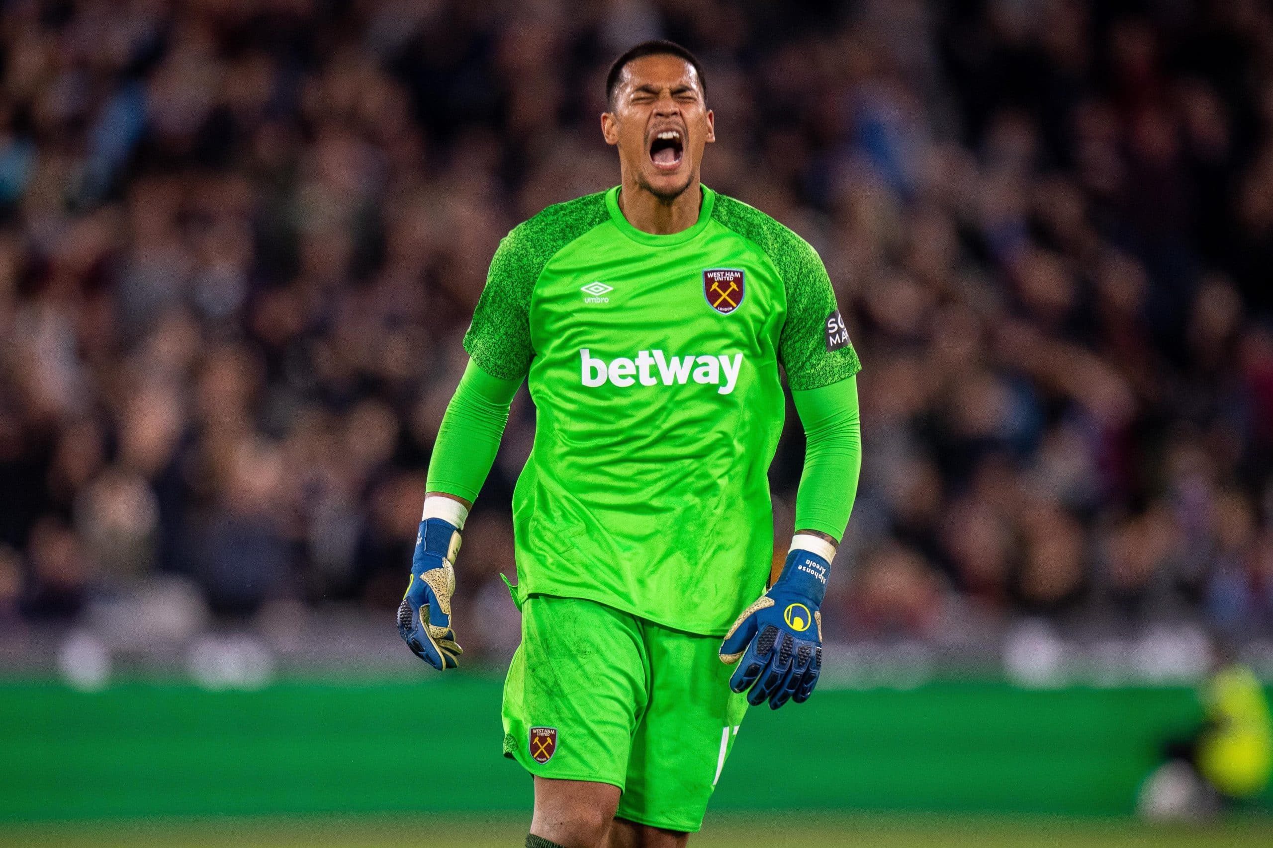 West Ham announce signing of Alphonse Areola West Ham announce signing of Alphonse Areola