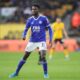 Who can replace Wilfred Ndidi in the Super Eagles squad