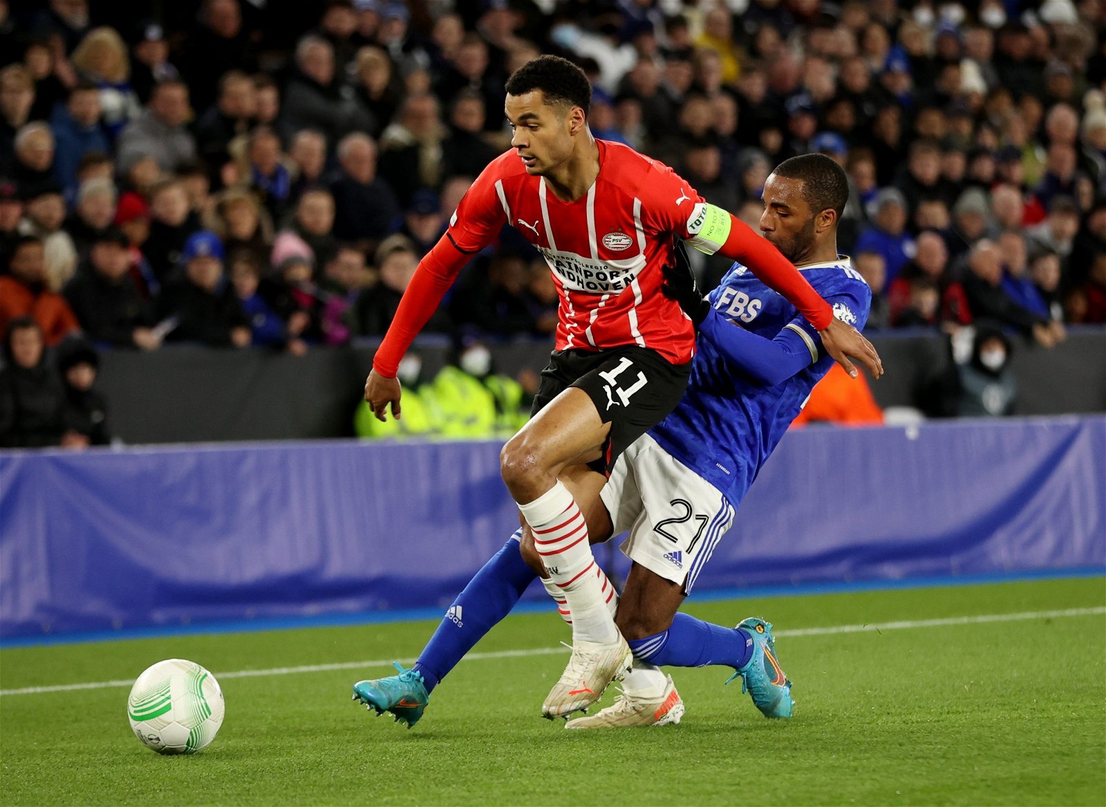 Leeds must seal Cody Gakpo swoop Leeds must seal Cody Gakpo swoop