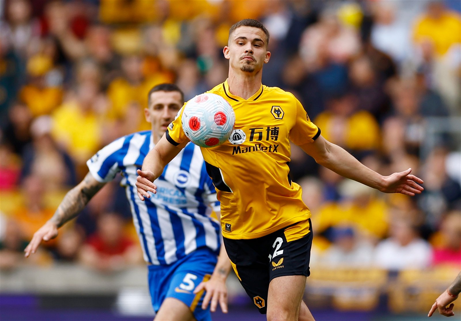 Everton interested in Leander Dendoncker Everton interested in Leander Dendoncker