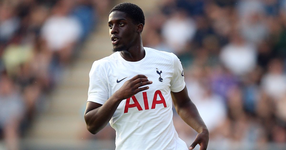 Tottenham central defender to drop down the leagues for project