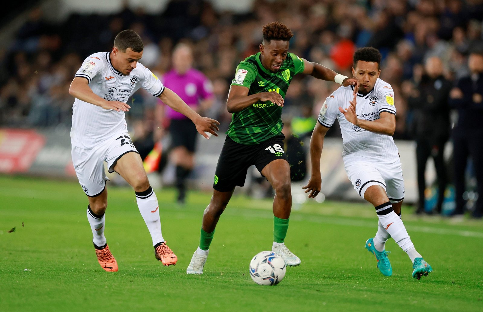 Sunderland must pounce on Jamal Lowe Sunderland must pounce on Jamal Lowe