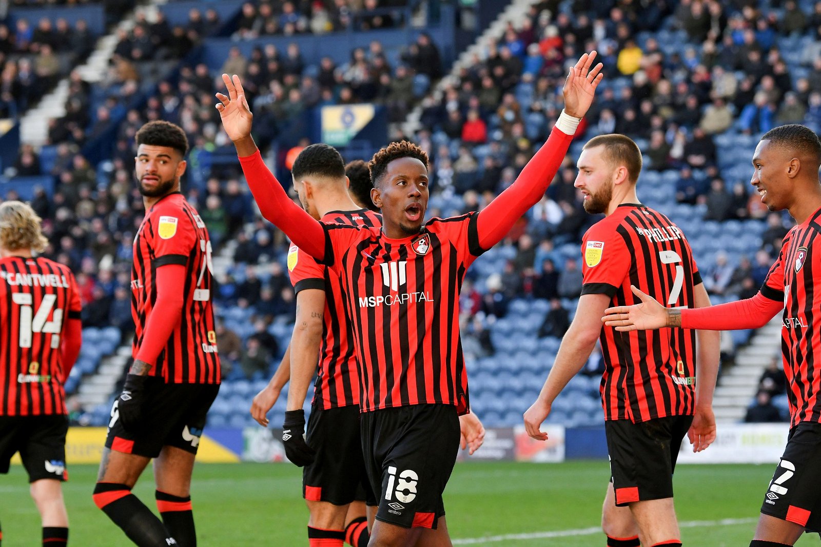 Sunderland keen on deal for Jamal Lowe Sunderland keen on deal for Jamal Lowe