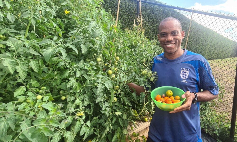 Sunday Oliseh unveils “Amazon-like” tomatoes farm