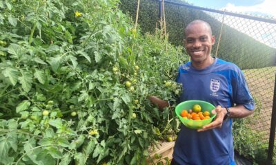 Sunday Oliseh unveils “Amazon-like” tomatoes farm