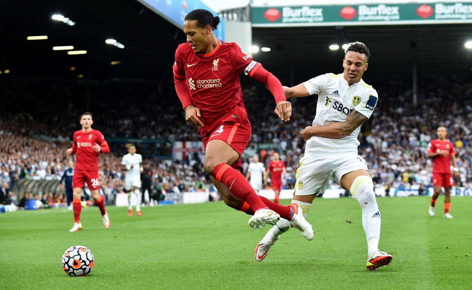 Leeds signed Bellusci over Van Dijk Leeds signed Bellusci over Van Dijk