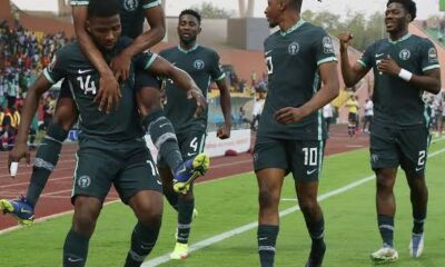 Torino reject ₦3.8billion bid for Super Eagles defender