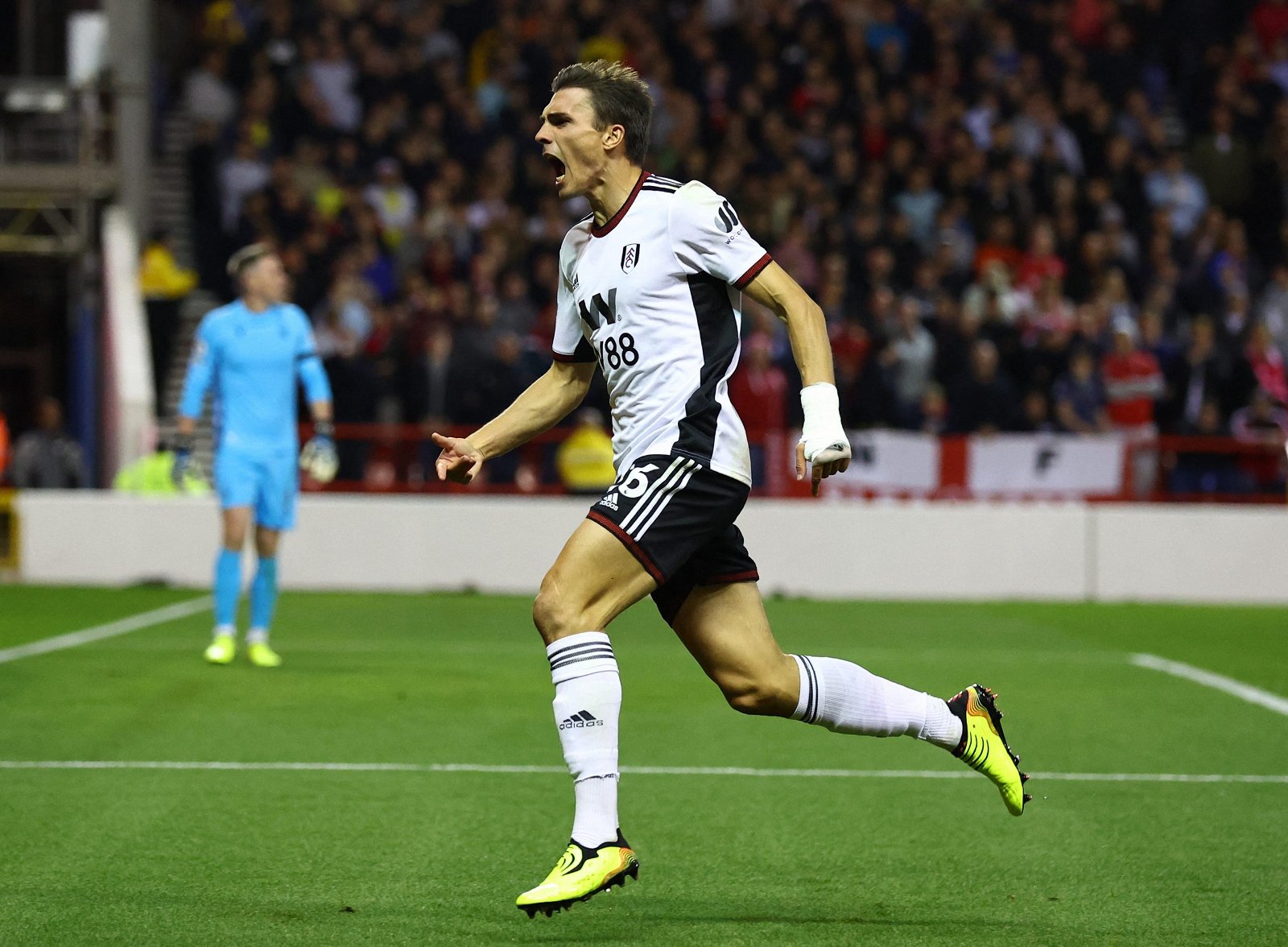 Newcastle had a howler with Joao Palhinha Newcastle had a howler with Joao Palhinha