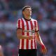Stewart injury is a big blow for Sunderland Stewart injury is a big blow for Sunderland