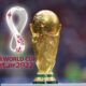 European National Team gives insight into World Cup rewards European National Team gives insight into World Cup rewards