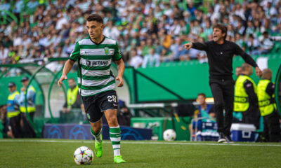Tottenham vs Sporting CP Preview 26/10/2022