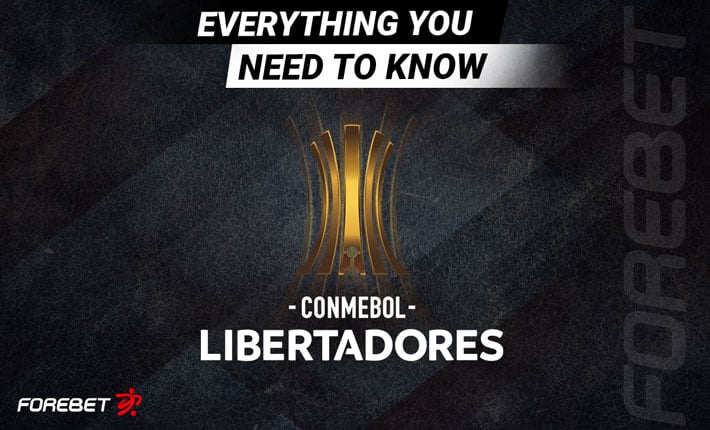 Everything You Need to Know About the Copa Libertadores Everything You Need to Know About the Copa Libertadores