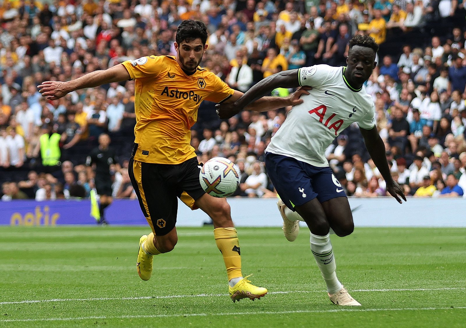 Wolves must unleash Goncalo Guedes Wolves must unleash Goncalo Guedes