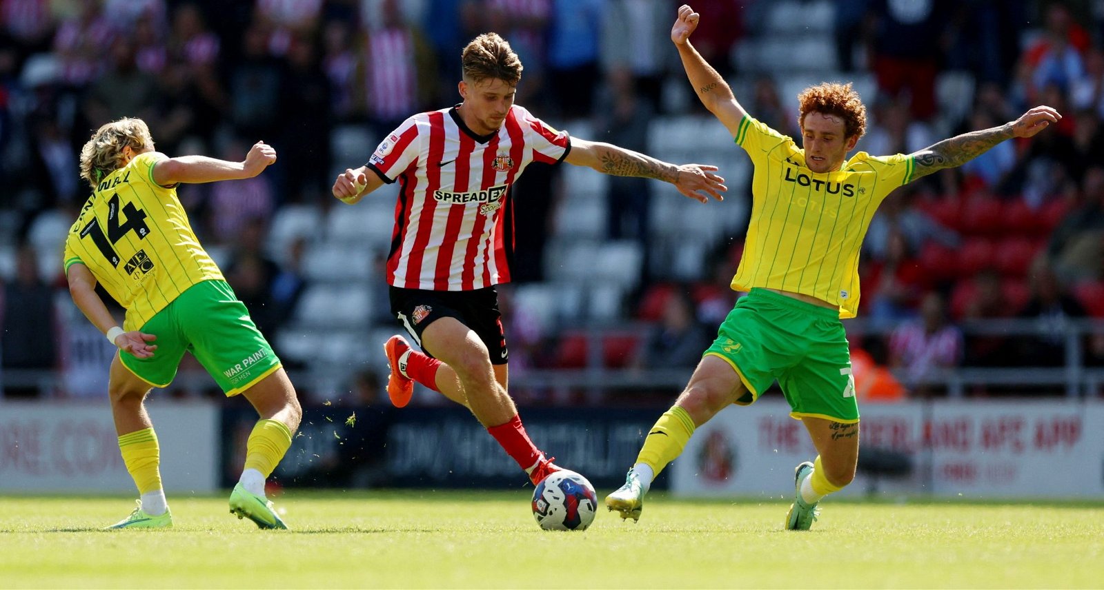Dennis Cirkin starred for Sunderland today Dennis Cirkin starred for Sunderland today