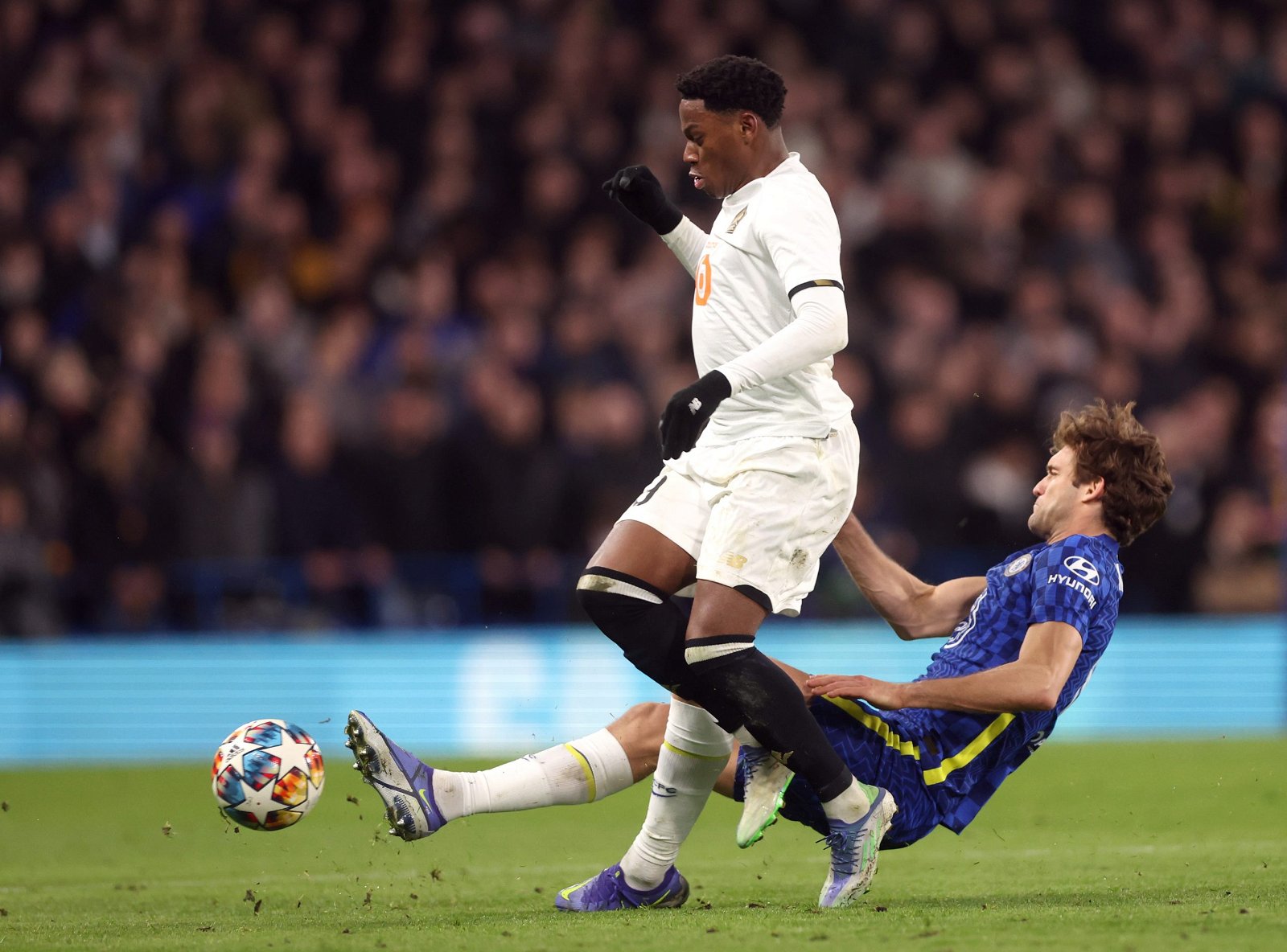 Everton eyeing Jonathan David | FootballFanCast.com Everton eyeing Jonathan David | FootballFanCast.com