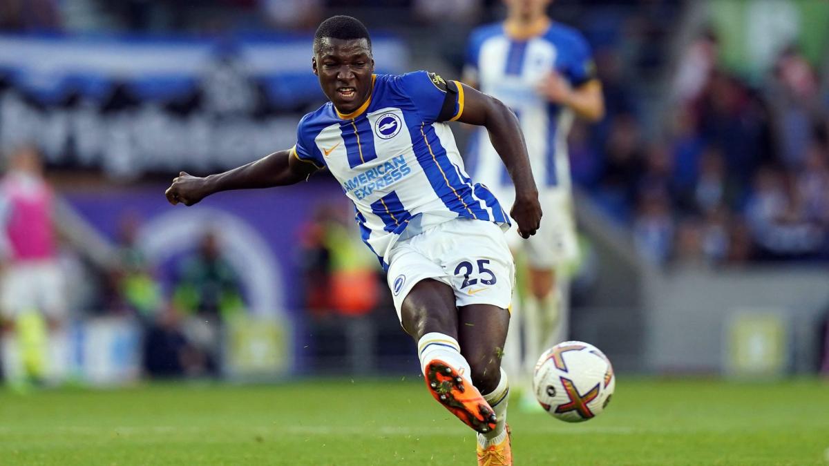 Moisés Caicedo, the new phenomenon in the Premier League Moisés Caicedo, the new phenomenon in the Premier League