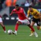 Nottingham Forest must unleash Dennis Nottingham Forest must unleash Dennis