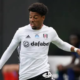 “I’m good enough to play for all three” – says exciting Fulham winger eligible for Nigeria, England, and Bulgaria “I’m good enough to play for all three” – says exciting Fulham winger eligible for Nigeria, England, and Bulgaria
