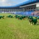 Olympic Eagles Intensify Training Ahead Of Tanzania Clash Olympic Eagles Intensify Training Ahead Of Tanzania Clash