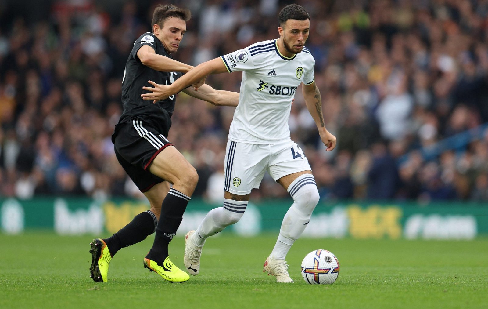 Leeds must unleash Sam Greenwood Leeds must unleash Sam Greenwood