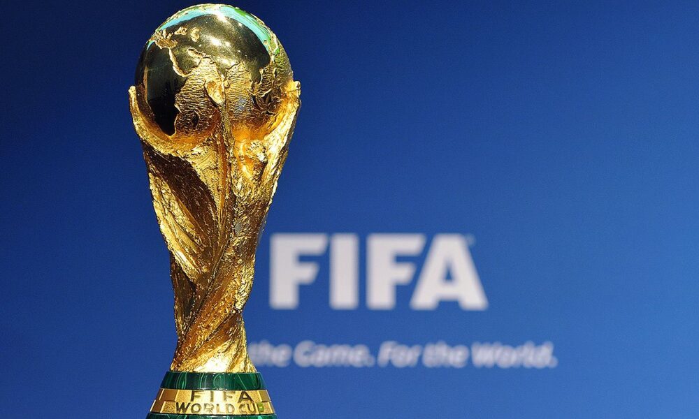 Nigeria should bid to host the FIFA World Cup, says Raji Fashola
