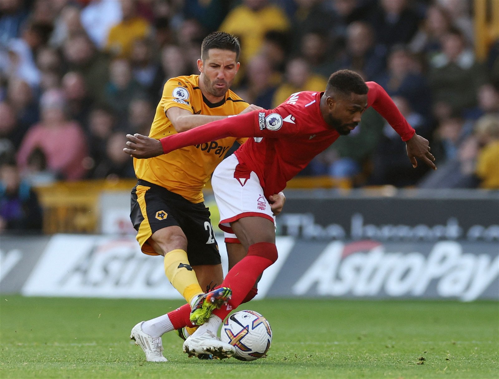 Wolves must ruthlessly ditch Joao Moutinho Wolves must ruthlessly ditch Joao Moutinho