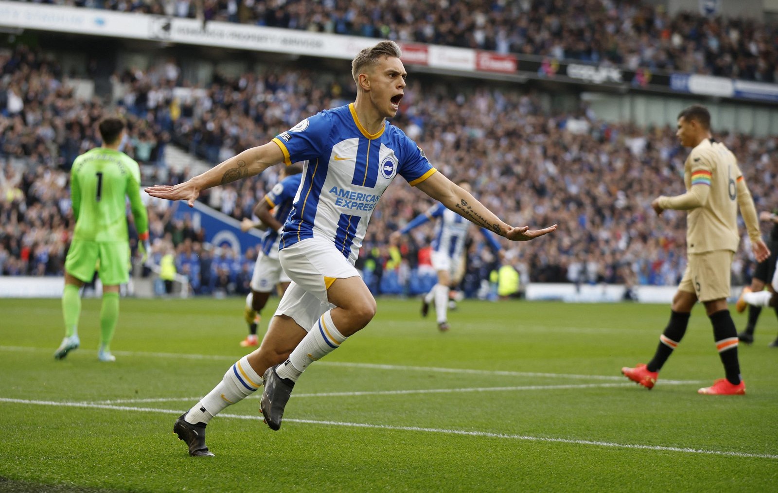 Newcastle must make move for Trossard Newcastle must make move for Trossard