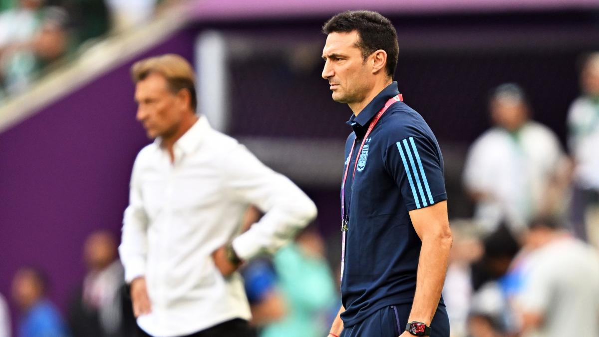 Lionel Scaloni digested the defeat against Saudi Arabia Lionel Scaloni digested the defeat against Saudi Arabia