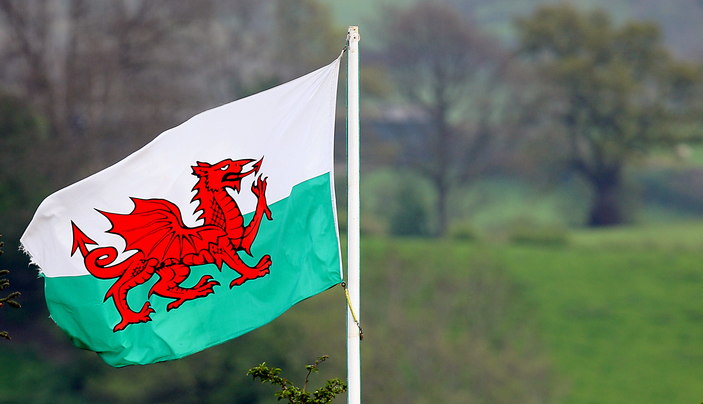 Wales National Football Team Preview Wales National Football Team Preview
