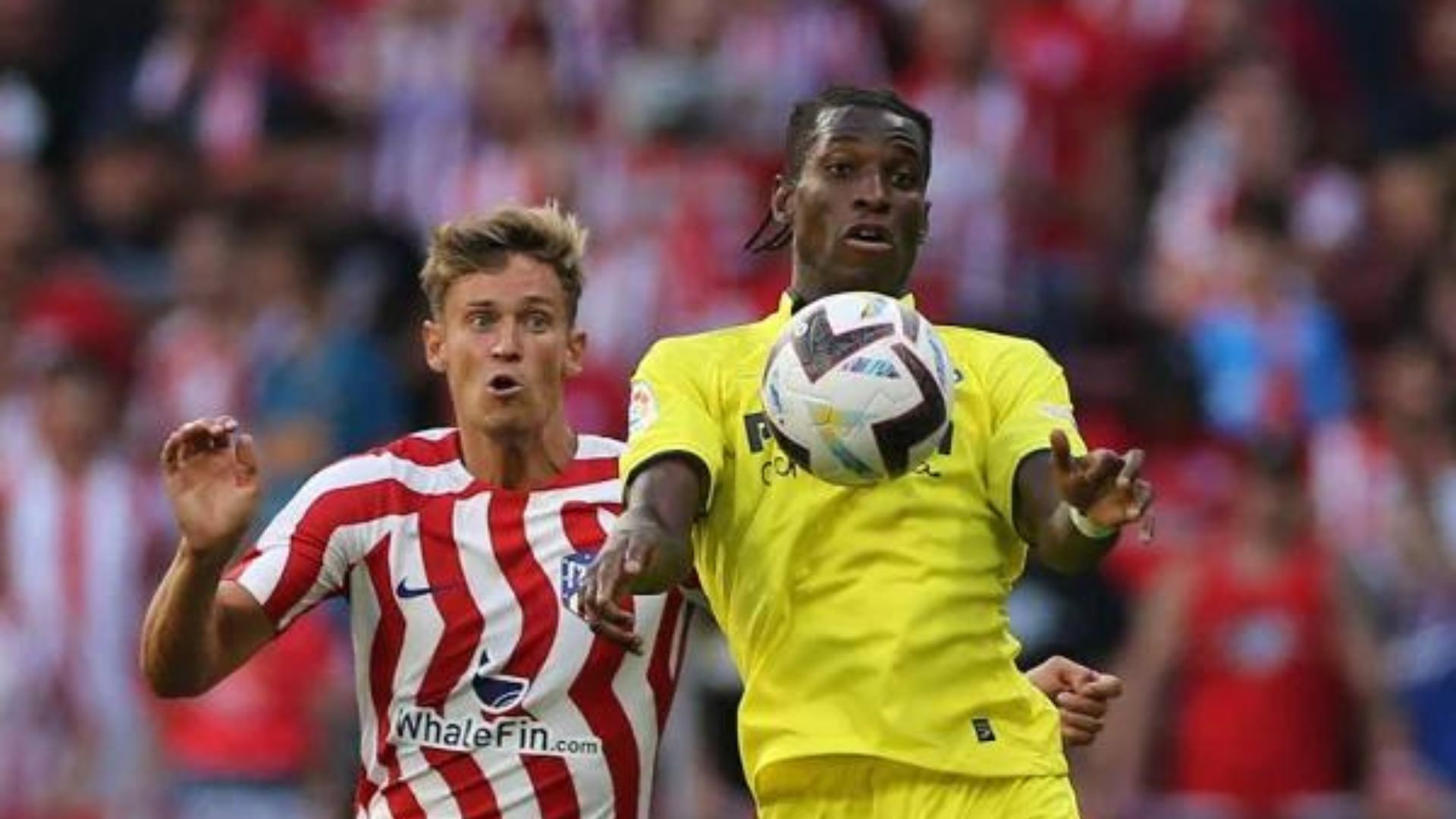 Sky Sports man backs cut-price Newcastle move for ‘quality’ attacking midfielder Sky Sports man backs cut-price Newcastle move for ‘quality’ attacking midfielder