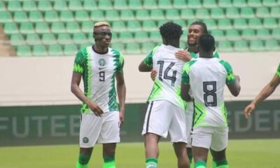 Two Super Eagles stars nominated for Serie a Player of the Month award