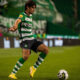 Rio Ave vs Sporting CP Preview 07/12/2022 Rio Ave vs Sporting CP Preview 07/12/2022