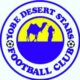NNL 2022/23 : Yobe Desert Stars Football Club Designated New Technical Crews