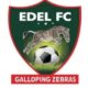 NNL 2022/23 : Nnewi United Rechristened Edel Football Club