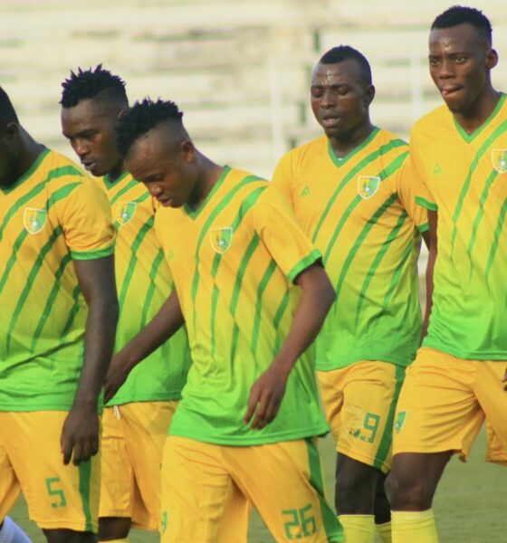 NPFL: Plateau United resume preseason training under new coach Shola Adegun