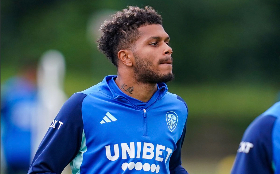 After analysis Daniel Farke has a whole new plan and position for Rutter at Leeds next season