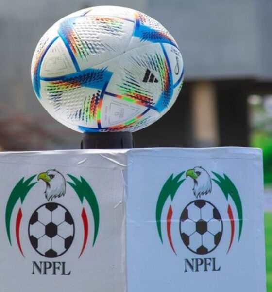 NPFL sets July 28 for AGM and 2025/26 fixtures draw in Abuja