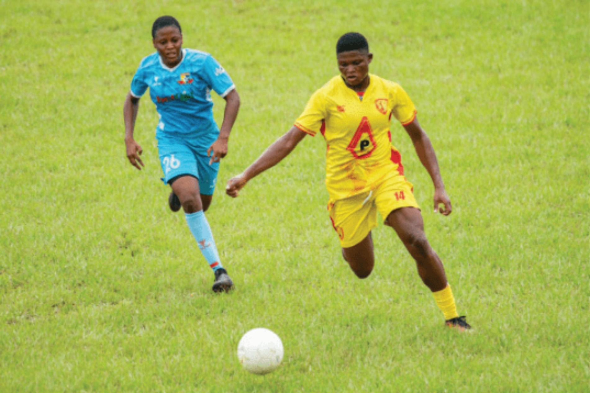 Wafu-B Champions League Qualifiers: Moses Aduku reveals secret to Hasaacas win Wafu-B Champions League Qualifiers: Moses Aduku reveals secret to Hasaacas win