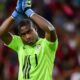 Enyeama Expresses Gratitude to Lille B Squad and Staff for Invaluable Support