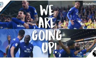 Cardiff City Secures Premier League Berth in Championship Finale; Hull and Reading Survive Relegation Threats