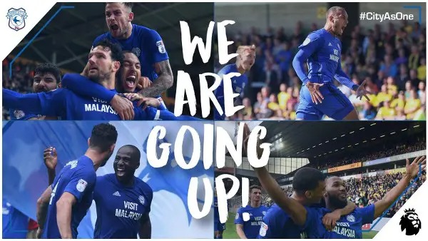 Cardiff City Secures Premier League Berth in Championship Finale; Hull and Reading Survive Relegation Threats