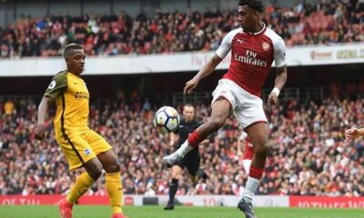 Arsenal Triumph as Iwobi Shines Bright in Win Against Brighton Arsenal Triumph as Iwobi Shines Bright in Win Against Brighton