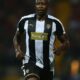 Shola Ameobi Among 11 Players Released by Notts County