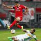 Leon Balogun Returns After Injury, Graces Mainz Squad Against Eintracht Frankfurt