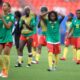 Paris Olympics Qualifier: Cameroonian duo to miss Nigeria clash in Douala