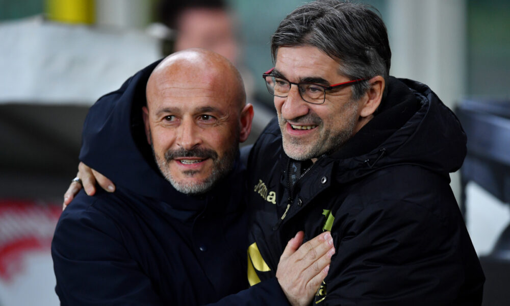 Juric and Italiano make up on live television after ugly row