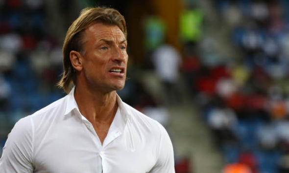 Herve Renard reveals why he rejected Super Eagles job offer