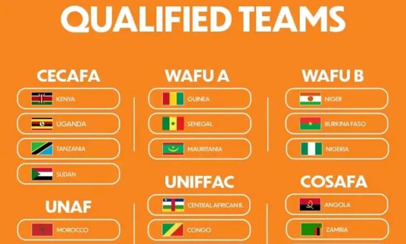 CAF moves to postpone African Nations Championship